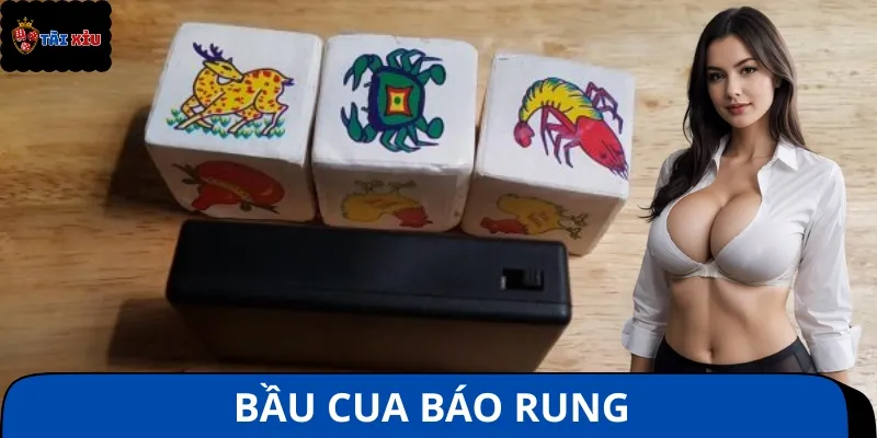 Bầu Cua báo rung là công cụ hỗ trợ đắc lực được nhiều người lựa chọn