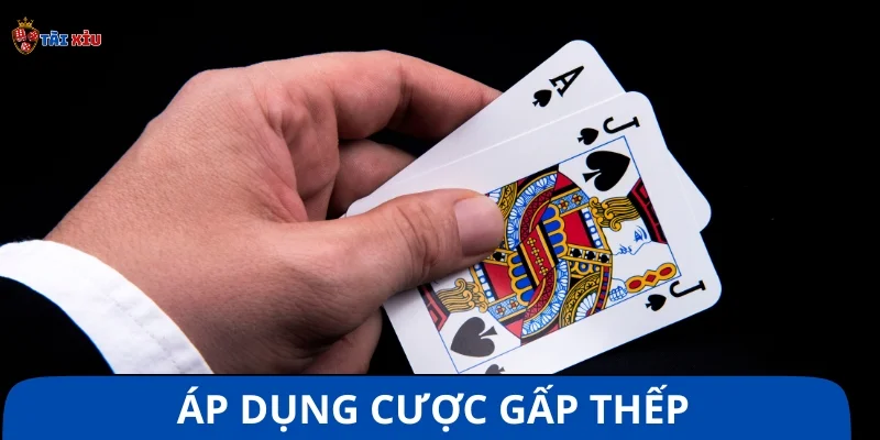 Cược gấp thếp - Kinh nghiệm chơi Blackjack đỉnh cao
