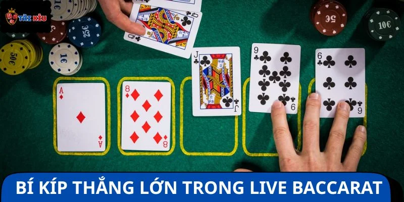 Bí kíp cực hay giành ngay thắng lớn trong live Baccarat