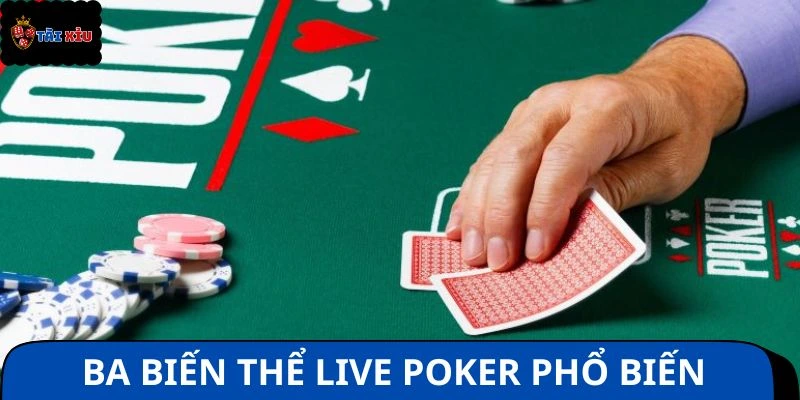 Ba biến thể Live Poker phổ biến đáng để thử nhất