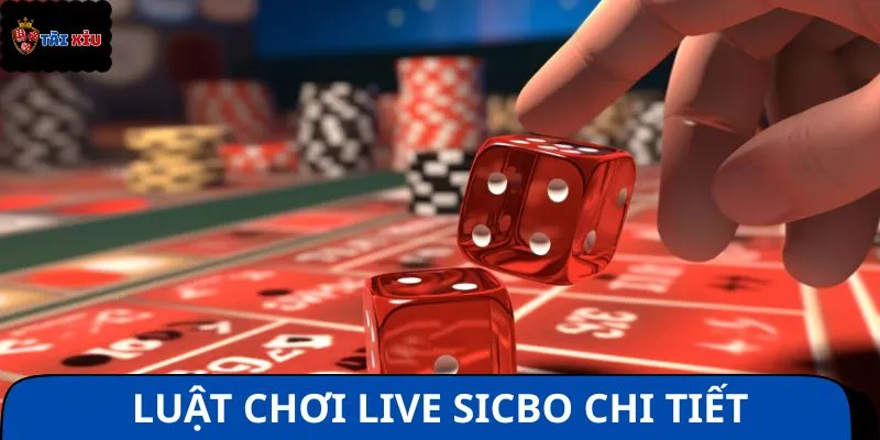 Luật chơi live sicbo chi tiết giúp bạn thắng dễ dàng