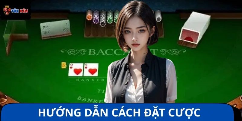 Cách vào tiền đặt cược Long Bảo Baccarat cho người mới