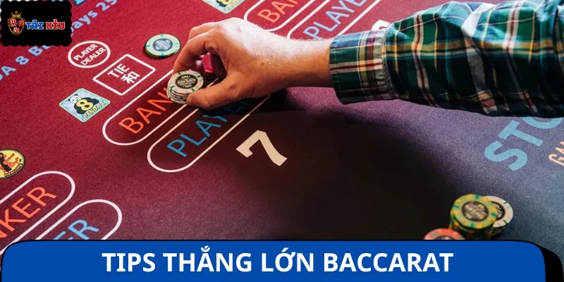 Cẩm nang cược Baccarat thắng lớn mà không phải ai cũng biết