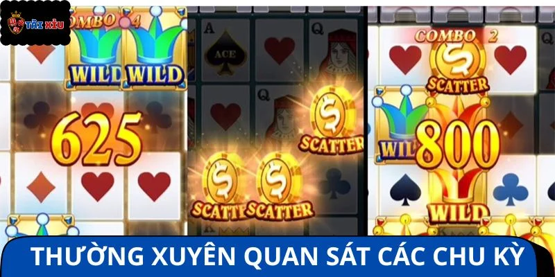Thường xuyên quan sát các chu kỳ