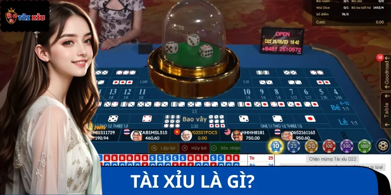 Tài Xỉu là trò chơi cá cược quen thuộc và phổ biến tại Việt Nam