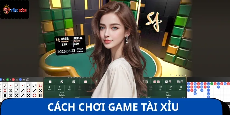 Cách chơi Tài Xỉu cơ bản, dễ hiểu cho bạn mới bắt đầu