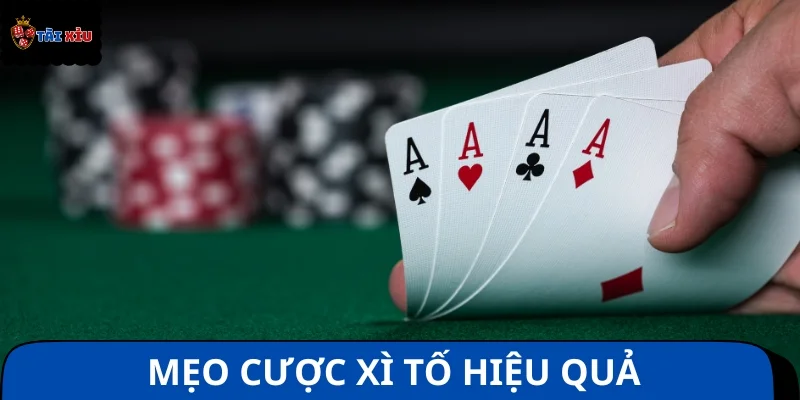 Kinh nghiệm chơi Xì tố hiệu quả, mở ra cơ hội đổi đời nhanh chóng