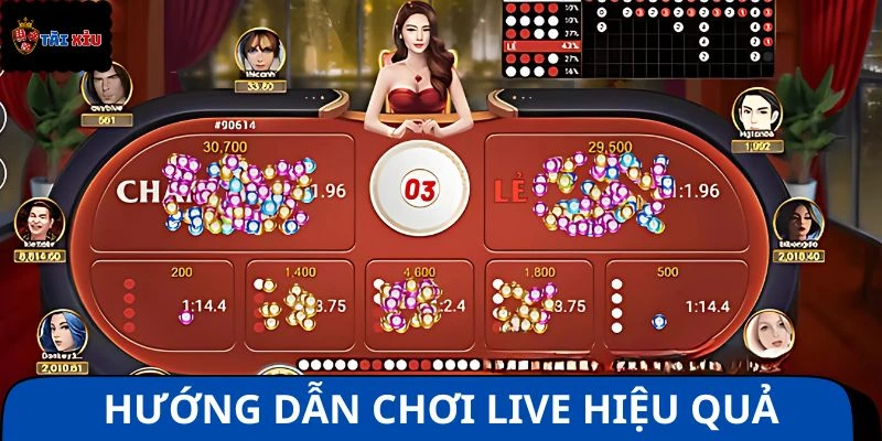 Hướng dẫn chơi live hiệu quả chuẩn xác từng chi tiết